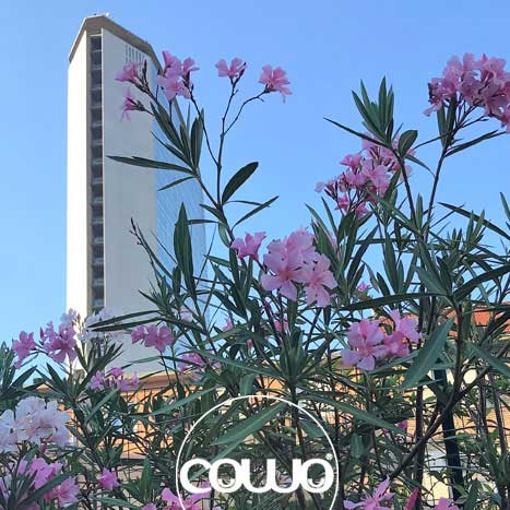 26605_milano-stazione-centrale3